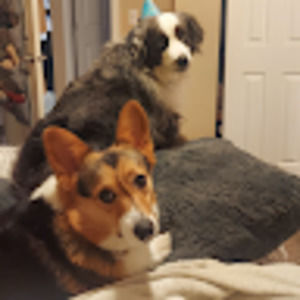 Meet your Posher, Abigail